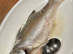 油鹽清蒸午筍魚-琥珀·原创臻选店(维家思店)