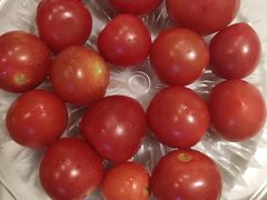 -绿茶餐厅(燕郊永旺店)