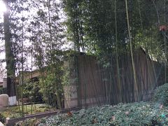 -春晖园度假酒店温泉