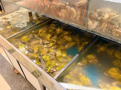 -海天一色海景自助餐厅(西港花园店)