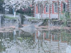-南山植物园