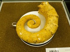 -天津古林古海岸遗迹博物馆