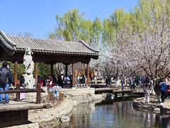 -三里河公园