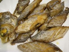 -毛姐烤鱼(福州汽车客运西站店)