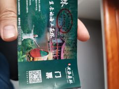 -黄海国家森林公园