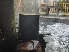 -天门沟九州驿站树上汤泉