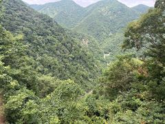 -东天目山风景区