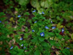 -苏州河梦清园环保主题公园