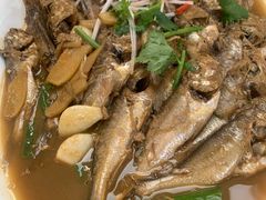 -鸿运美食府