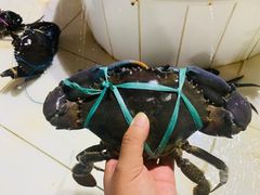 -海盗餐厅