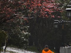 -杭州城北体育公园