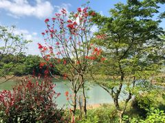 -福建鲤鱼洲酒店