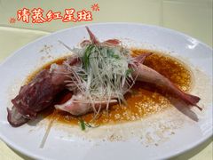-兴悦酒家(环市东路店)