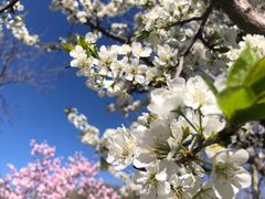 -天毓山庄·餐厅