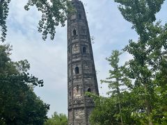 -上海佘山国家森林公园天马山园