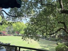 -申粤轩酒楼·三十年粤菜经典(丁香花园店)