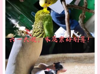 这家新概念动物乐园，儿童节的亲子票超划算！
