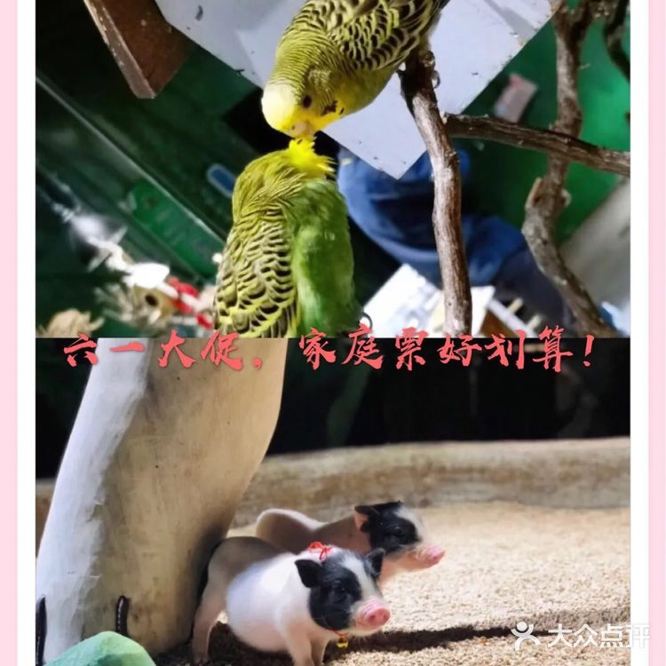 这家新概念动物乐园，儿童节的亲子票超划算！