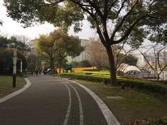 -苏州河梦清园环保主题公园