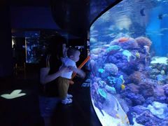 -成都浩海立方海洋公园