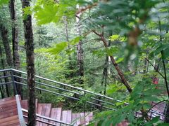 -峡谷浮石林景区