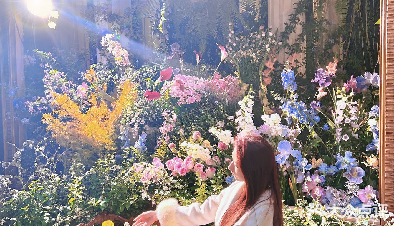 [加油]天呐‼️这简直是爱丽丝梦游仙境