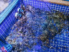 -青蓬蒸汽海鲜·深圳老字号·团建聚会(壹方城店)