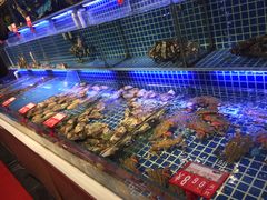 水产区-必点海鲜·鲅鱼水饺(鞍山西道店)