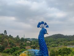 -东莞植物园