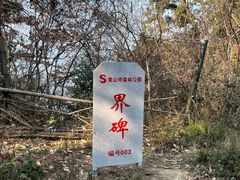 -素山寺森林公园