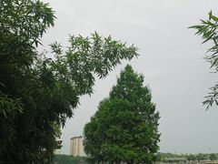 -桃花岛公园