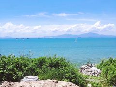 -七鲜渔港美食餐厅(巽寮湾海景店)