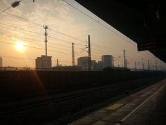 -素清香(解放路店)
