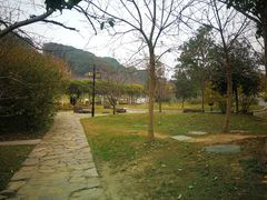 -苏州上方山国家森林公园