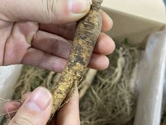-朴小妹人参鸡汤火锅(长白山万达店)