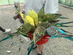 -萌宠亲子动物乐园(槐房万达店)