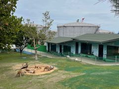 -西霞口神雕山野生动物世界