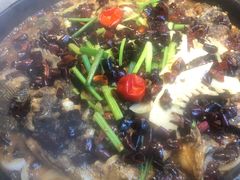 -老板恋上鱼(恒隆广场店)