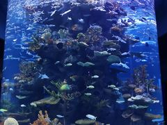 -多彩贵州城极地海洋世界