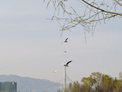 -森林公园(尖草坪区)
