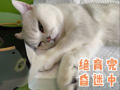 -美迦爱-牙专科·兔科·骨科诊疗中心(北苑店)