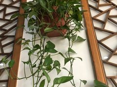 -随柳居·苏式小吃(建新巷店)