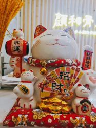 -颜和骨正·明哲式骨相美学整骨
