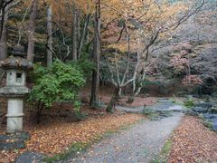 -醍醐寺