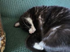 -麦当劳(北京上地十街餐厅店)