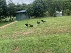 -福建鲤鱼洲酒店