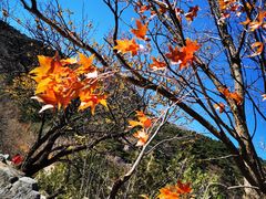 -北京鹫峰国家森林公园