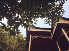 iphone_upload_pic-旺山景区