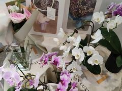 -EPOQUE·一刻花店(兴业太古汇店)