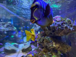 点击看大图 -Zoolung Zoolung动物主题公园(海信广场店)